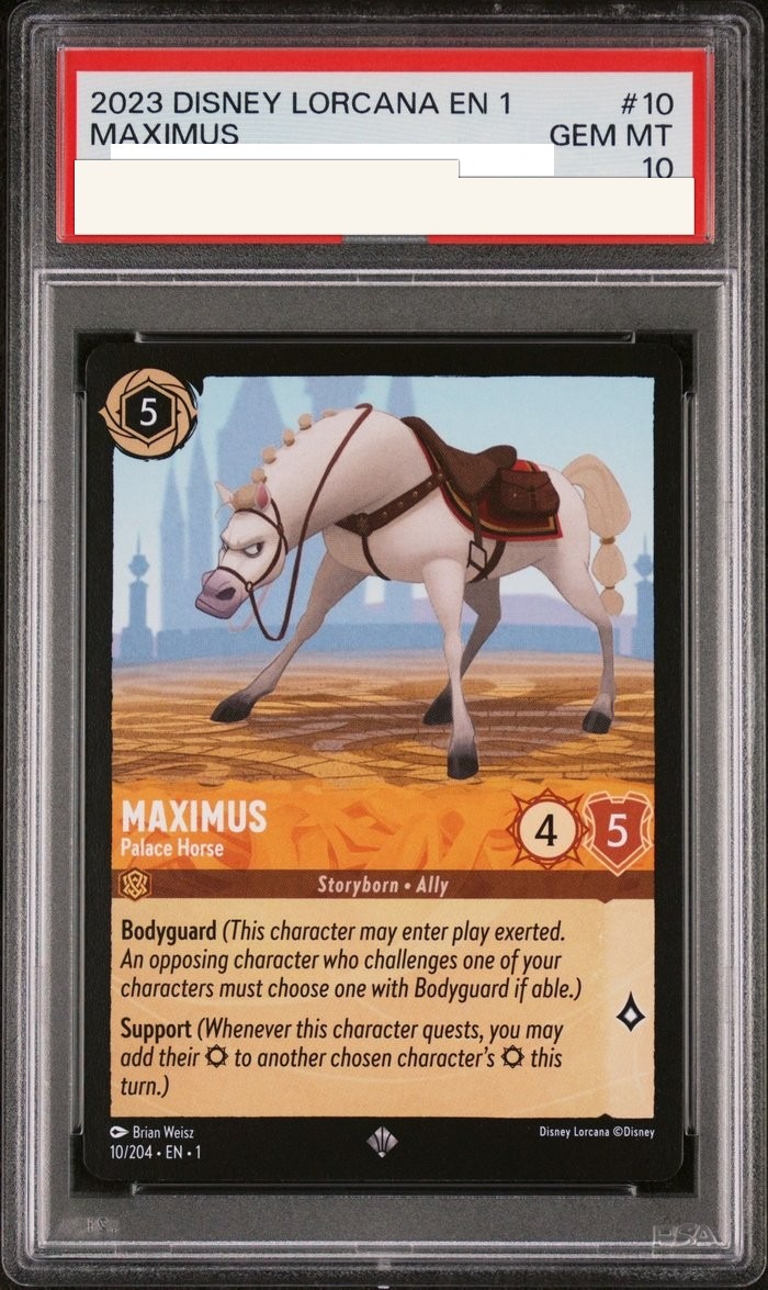 Sanitized PSA 10 slab of Maximus – Palace Horse (10/204); certification number and barcodes redacted