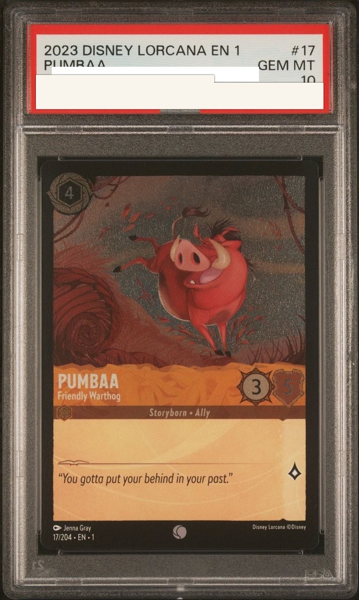 Sanitized PSA 10 slab of Pumbaa – Friendly Warthog (17/204); certification number and barcodes redacted