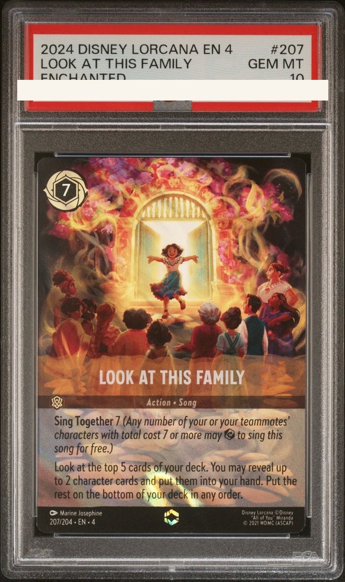 Sanitized PSA 10 slab of Look at This Family (207/204); certification number and barcodes redacted